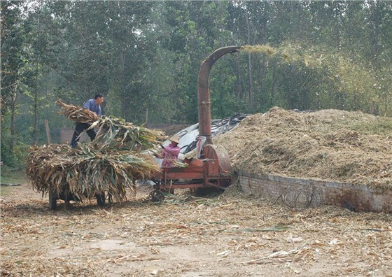 秸稈鍘草機(jī)