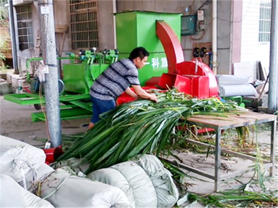 鍘草機(jī)配打包機(jī)